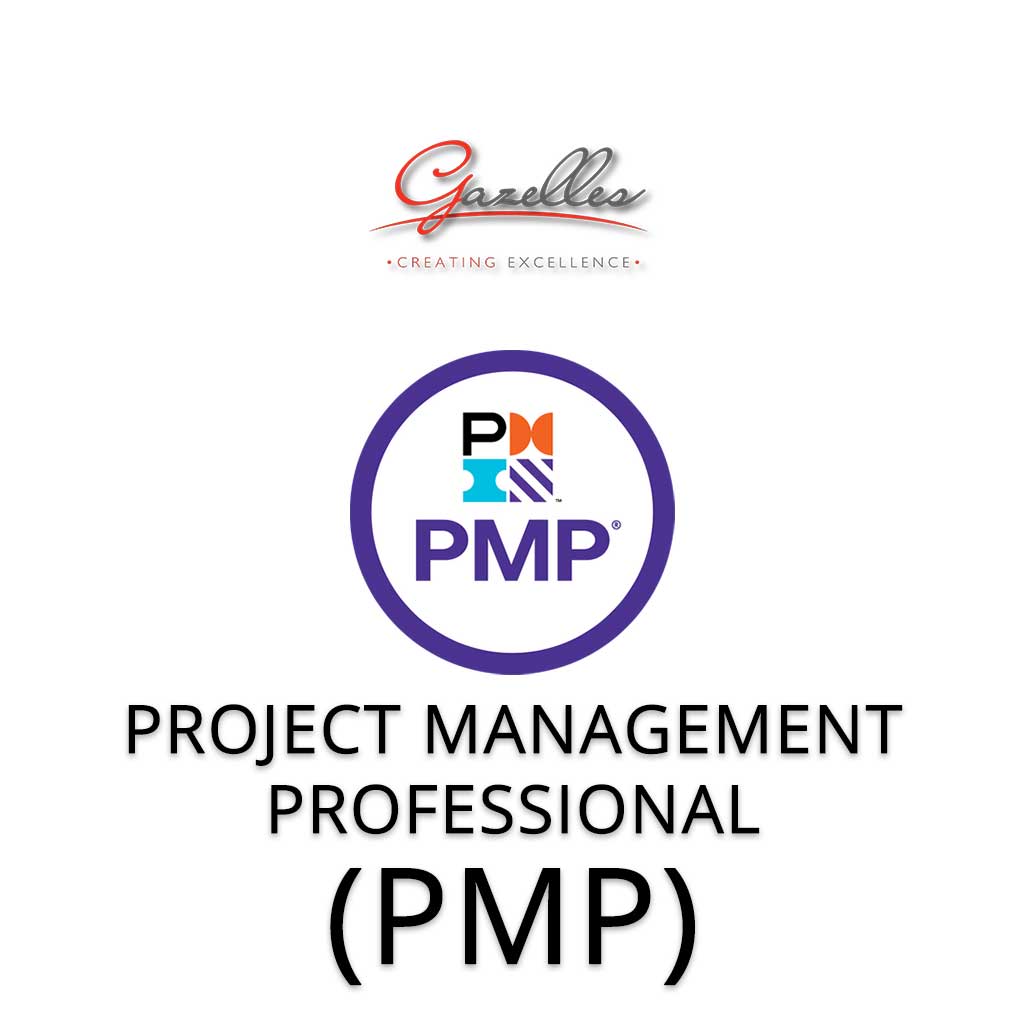 Project Management Professional (GMC-PMP)